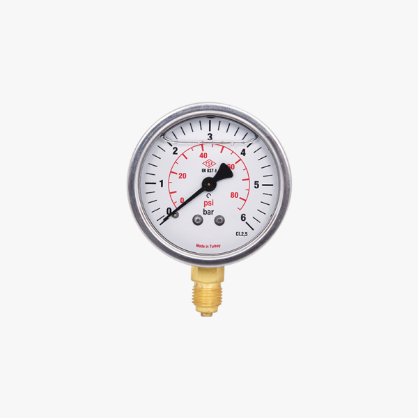 202335 - PRESSURE GAUGE