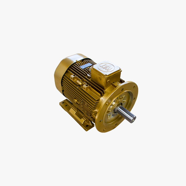 202355 - ELECTRICAL ENGINE 22 KW