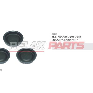 60253 - Caliper Plug Kit