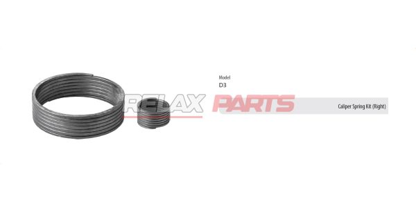 60379 - Caliper Spring Kit (Right)